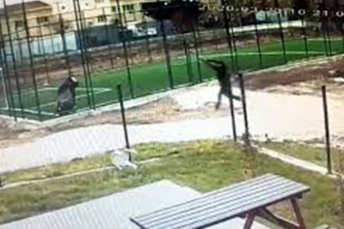 Edirne\'de Parkta Pompalı Tüfekle Yaralama