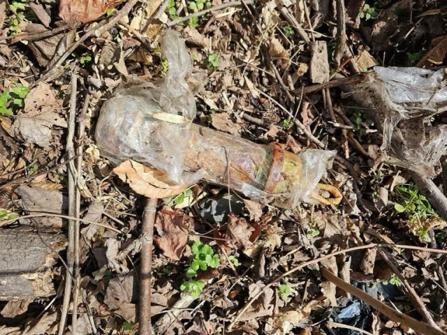 ABD'de patlayıcı düzenekleri tespit edilen ulusal park ziyarete kapatıldı