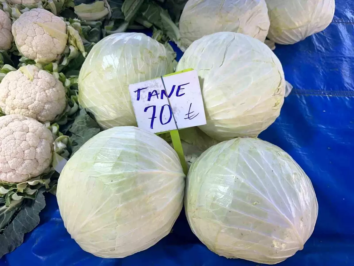 Lahana Fiyatlarında Çelişki: Üretici Kaybediyor