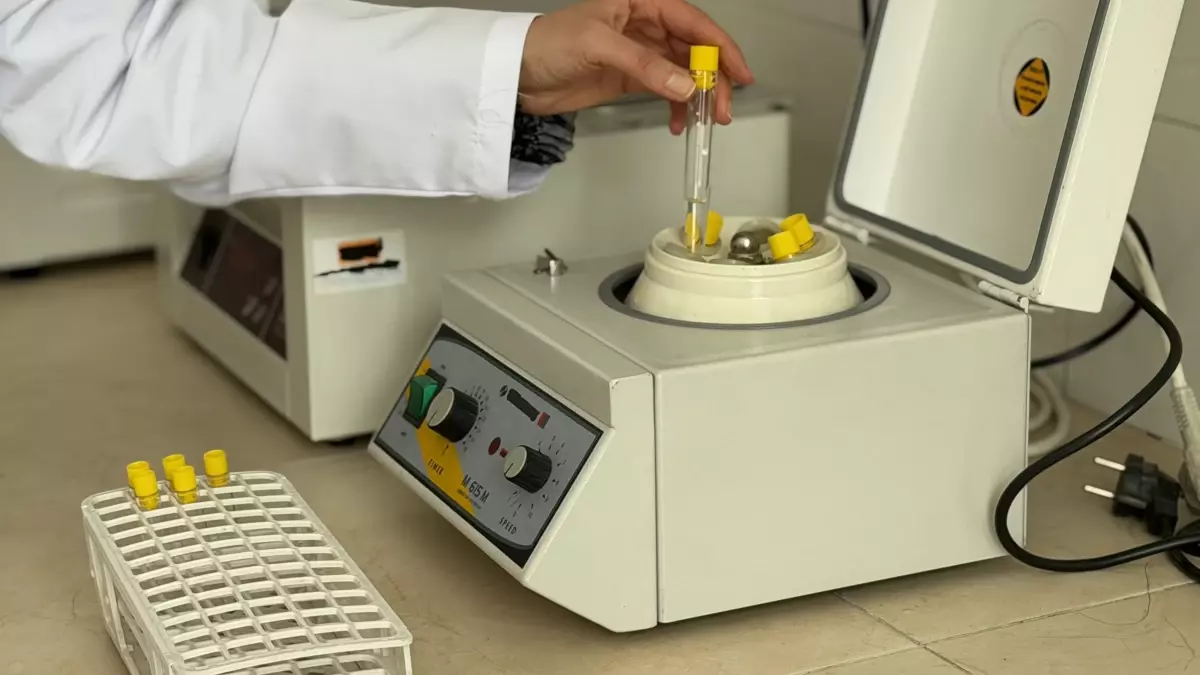 Ankara Üniversitesi\'nde Hayvan Genetiği Araştırmaları