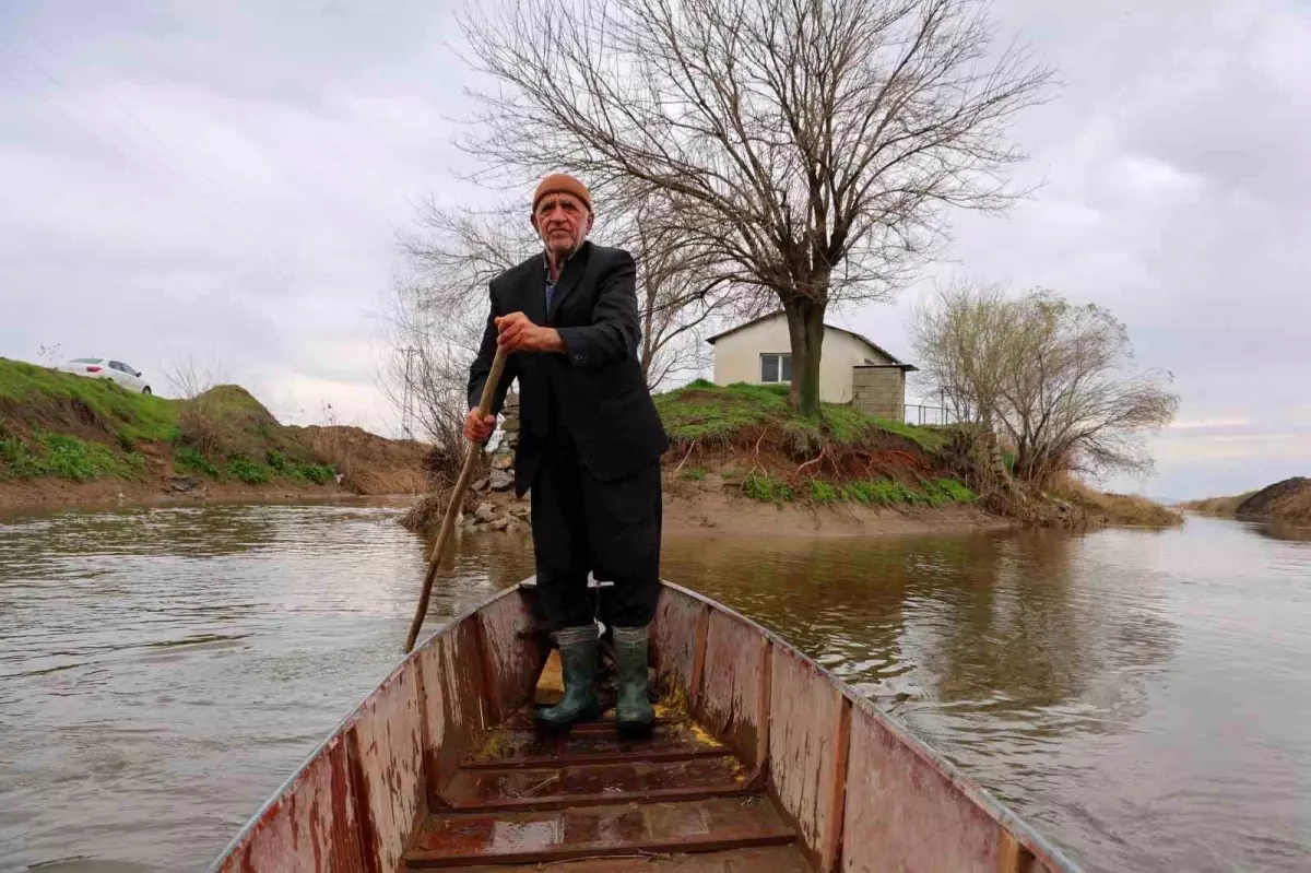 Yerli Robinson\'un Geri Dönüşü