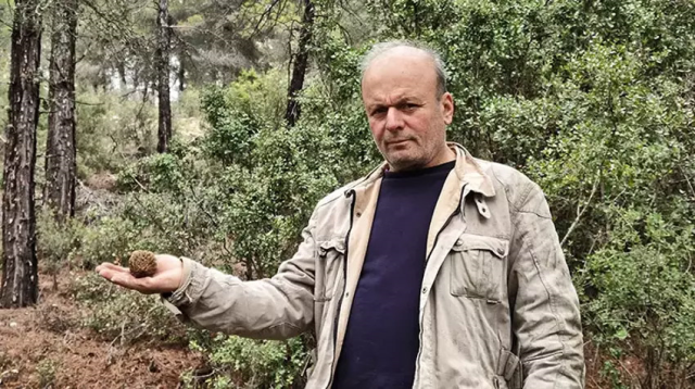 Köylüler dağ tepe onu arıyor: Altın bulmuş gibi seviniyoruz