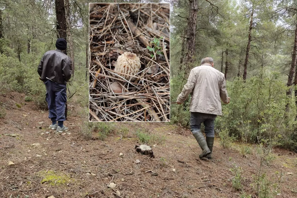 Köylüler dağ tepe onu arıyor: Altın bulmuş gibi seviniyoruz