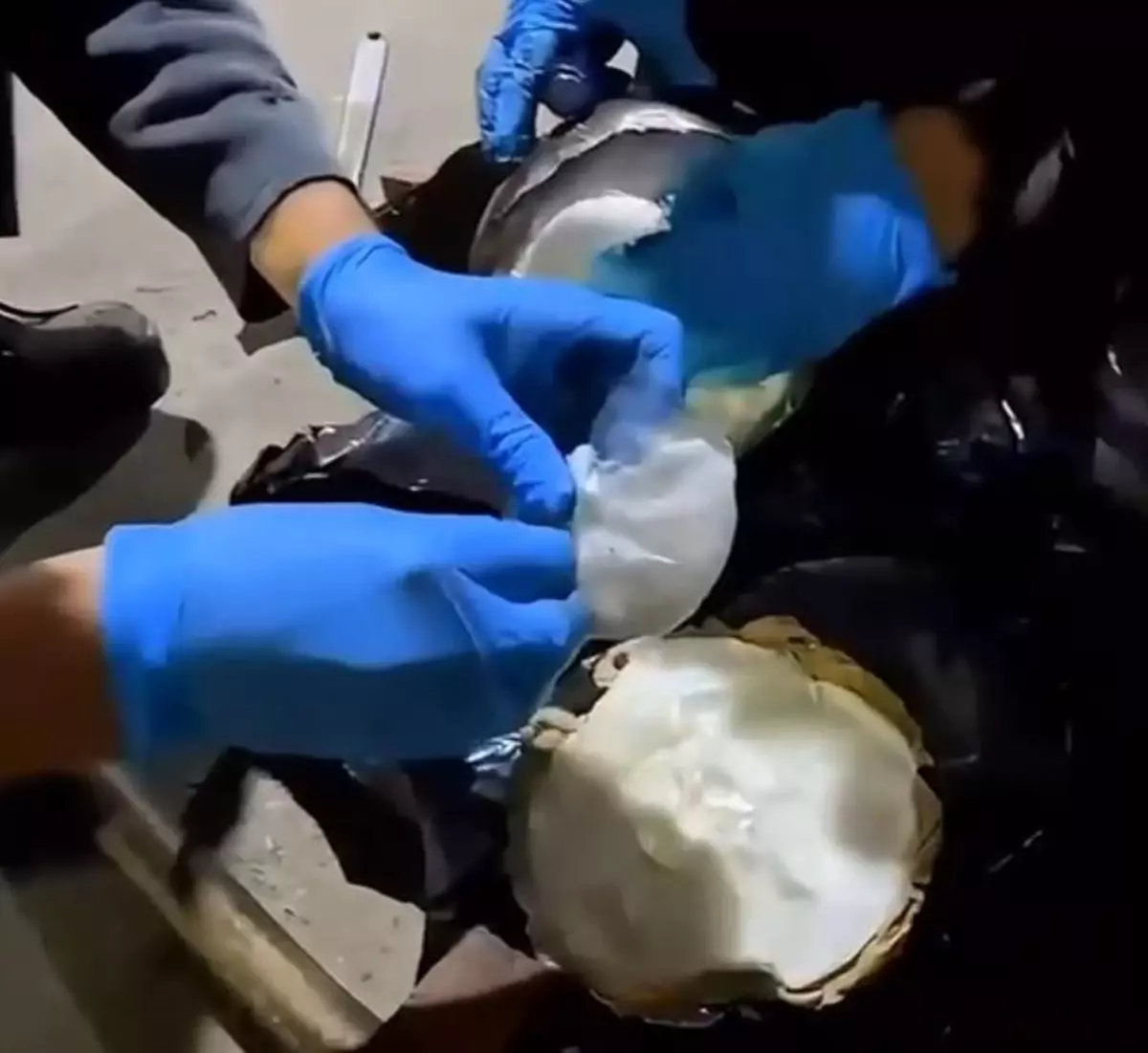 TIR\'da Metamfetamin Ele Geçirildi