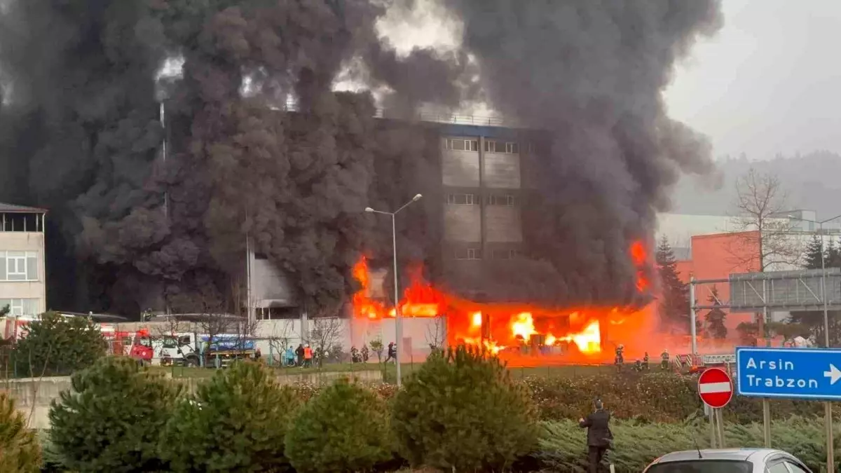 Trabzon\'da Fındık Fabrikası Yangını