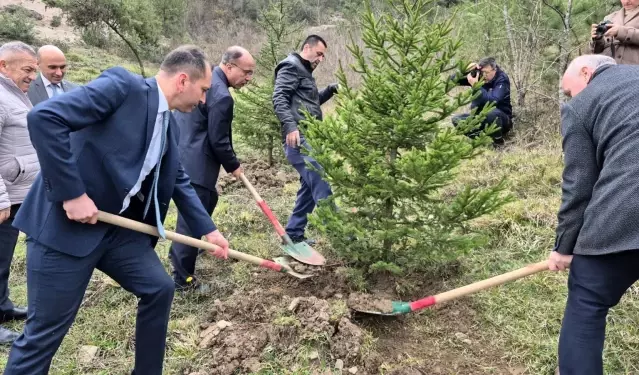 Bartın’da Fidan Dikimi