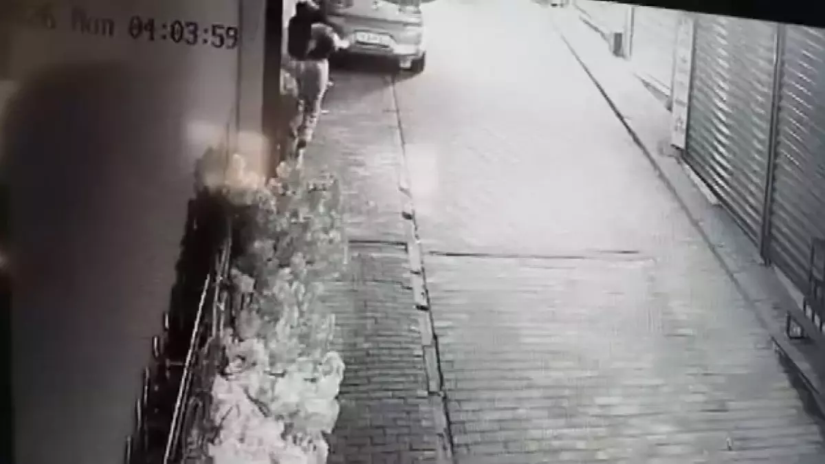 Bursa\'da Hırsızlık: Süs Ağacı Çalındı