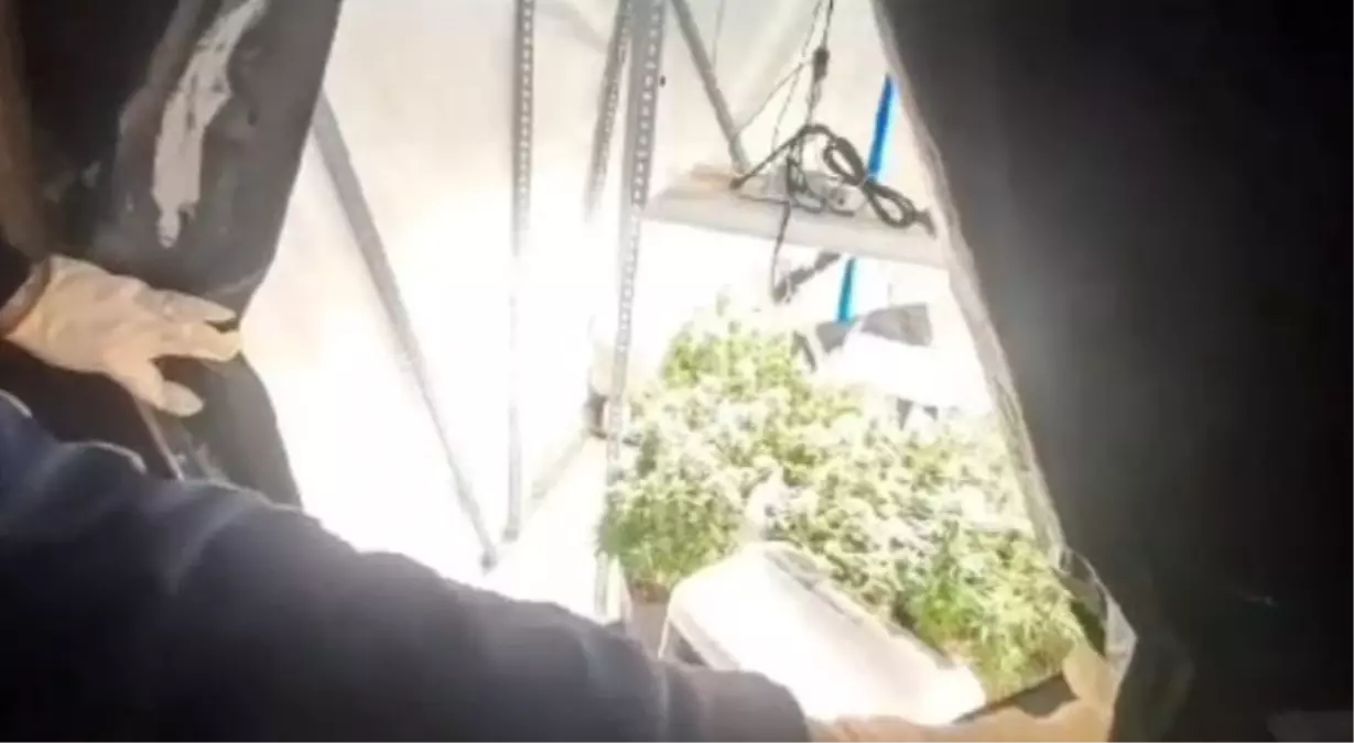 Kocaeli\'de Uyuşturucu Operasyonu: 36 Gözaltı