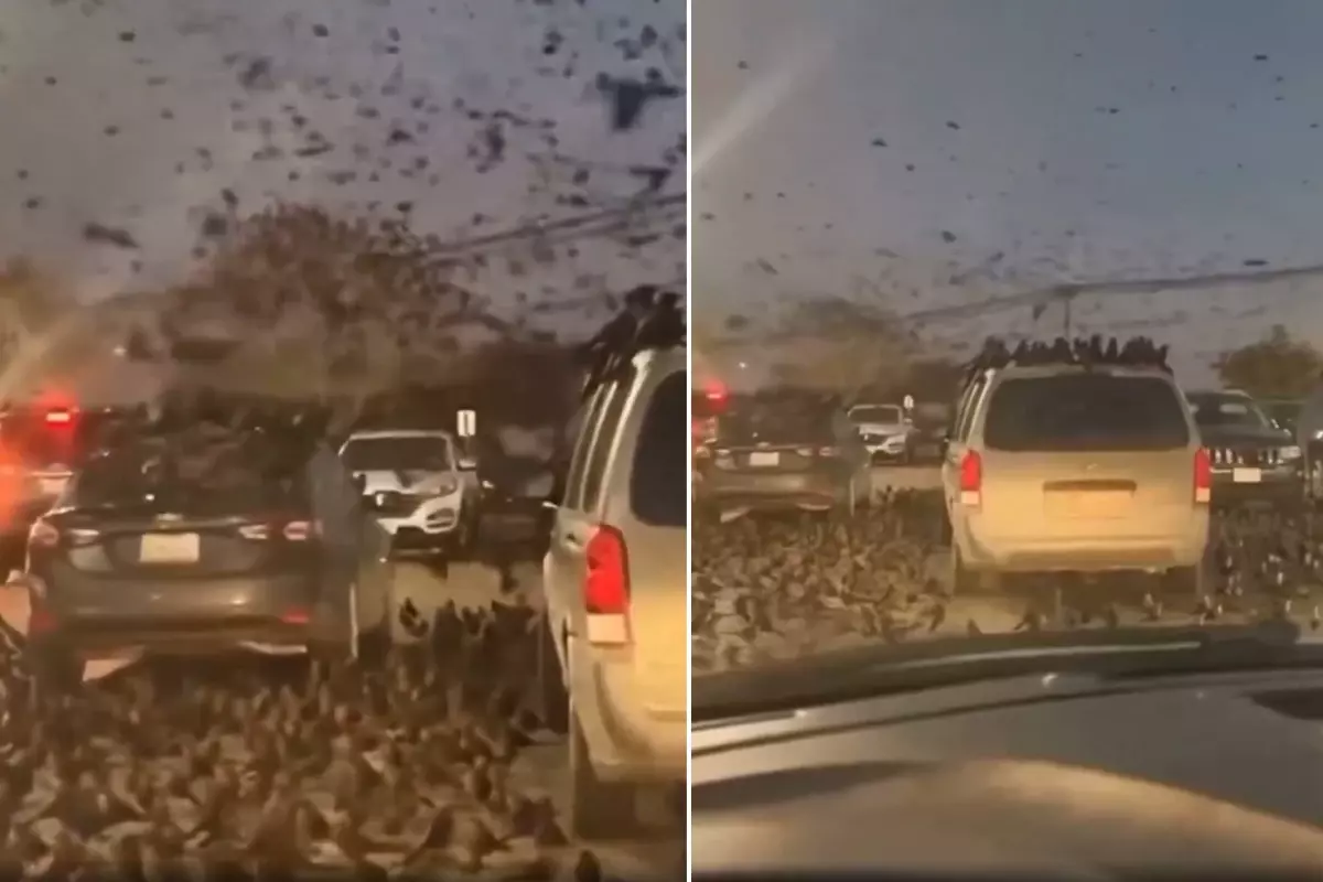 Neler oluyor? Tel Aviv\'den servis edilen yeni görüntü ses getirdi