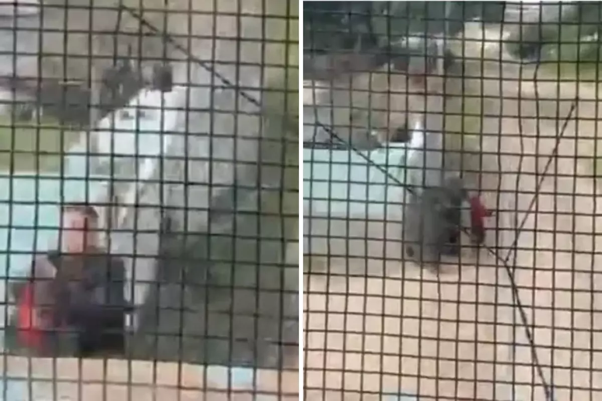 Raylarda mucize: Trenin çarpmasına saniyeler kala küçük çocuğu böyle kurtardı