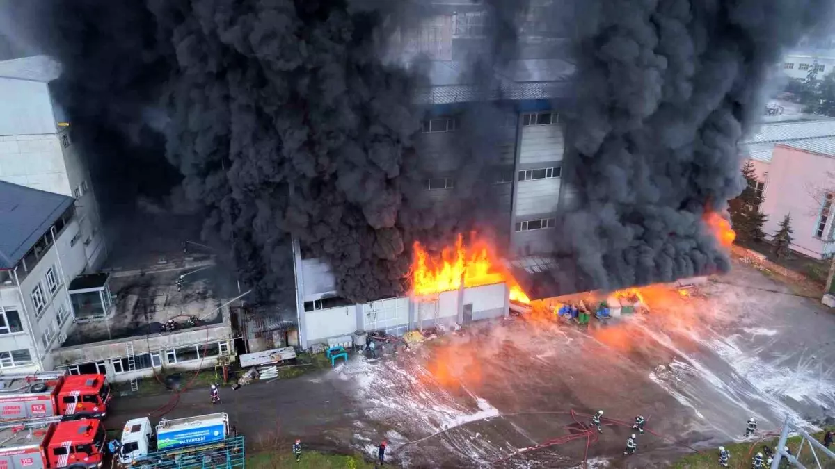 Trabzon\'da Fındık Fabrikasında Yangın