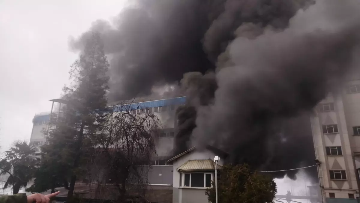 Trabzon\'da Fındık Fabrikasında Yangın