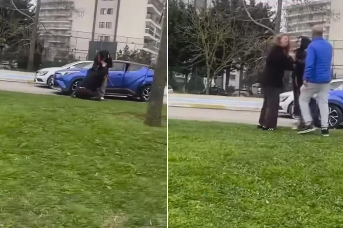 İki kadının kavgasına olay tepki: Ejderha kadınlar sizi