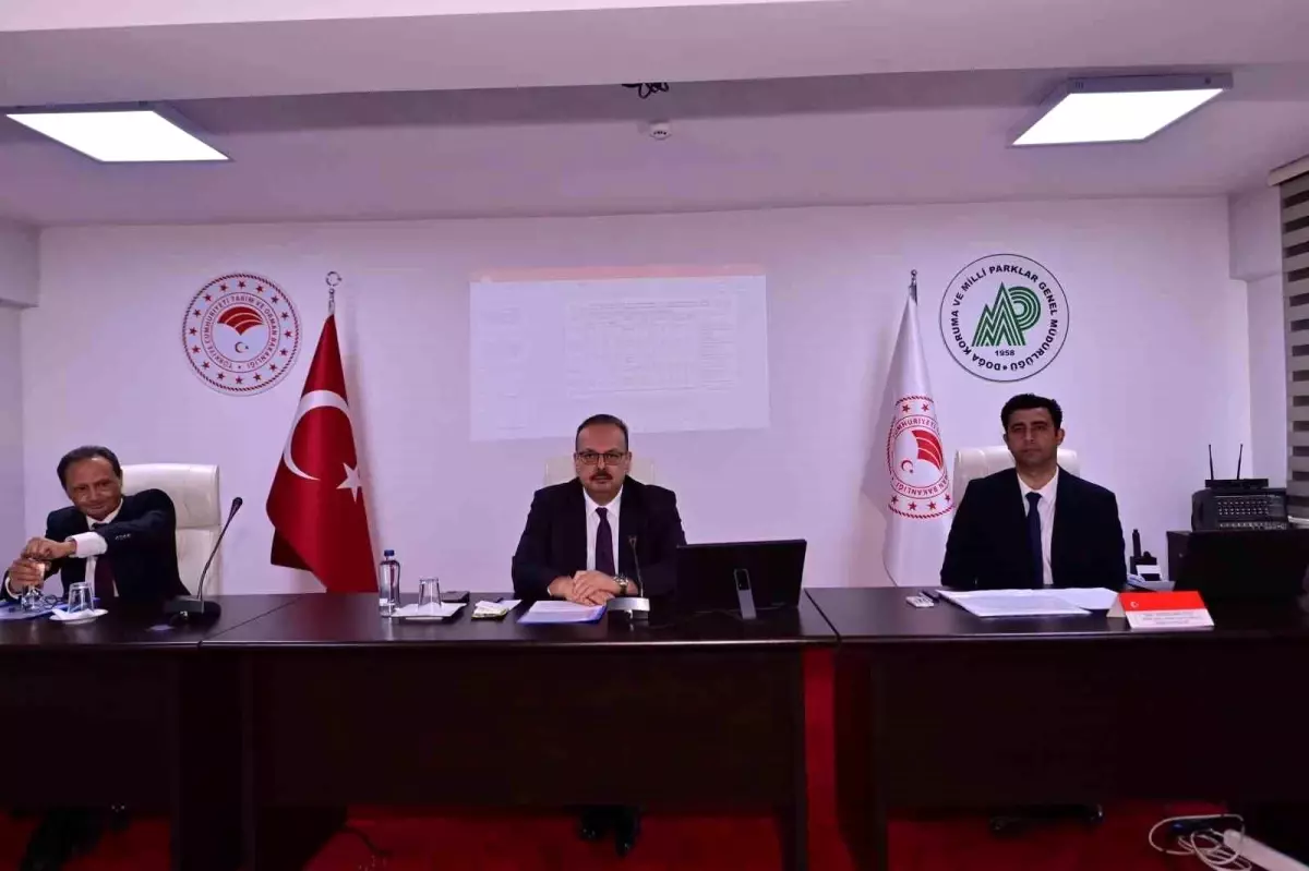 Aydın\'da sahipsiz hayvanlara yönelik çalışmalar masaya yatırıldı