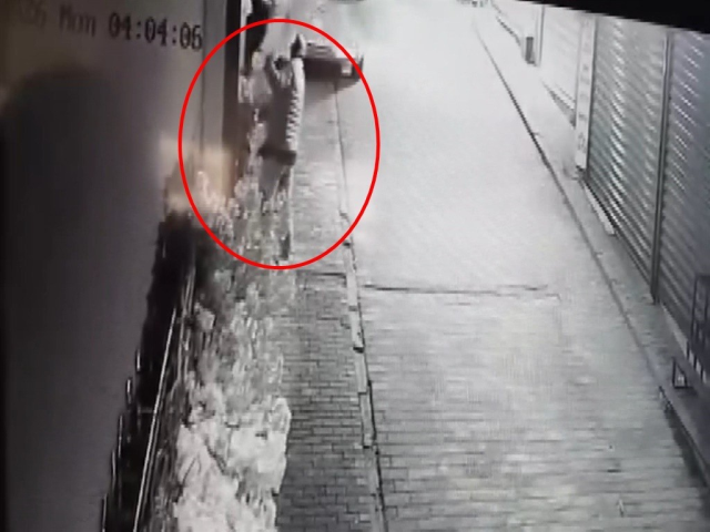 'Bir kafeden daha fazlası' yazısını fark etti, ağacı sırtlayıp gitti O anlar kamerada 'Bir kafeden daha fazlası' yazısını fark etti, ağacı sırtlayıp gitti O anlar kamerada