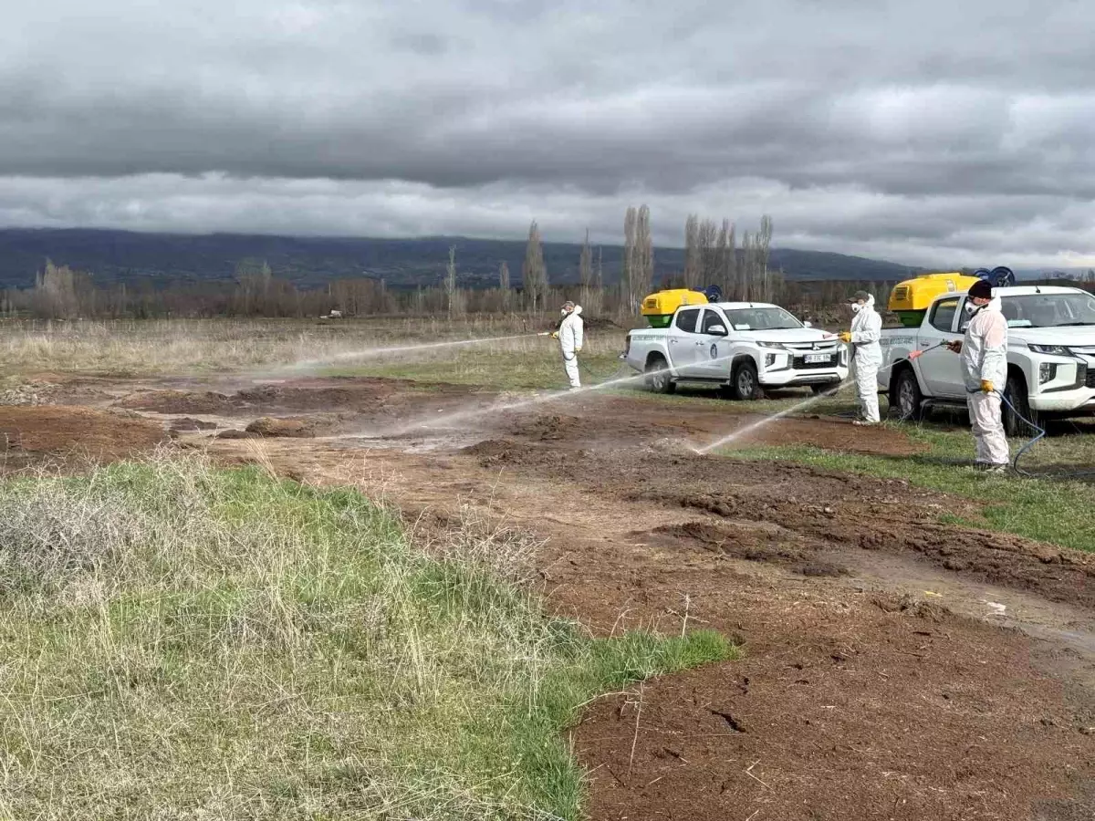 Çorum Belediyesi\'nden yaz öncesi vektörle yoğun mücadele