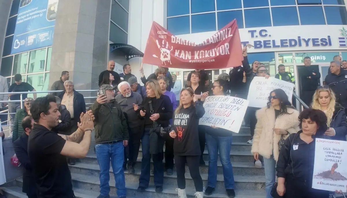 Erdemit\'te Sokak Köpeği Ölümüne Protesto