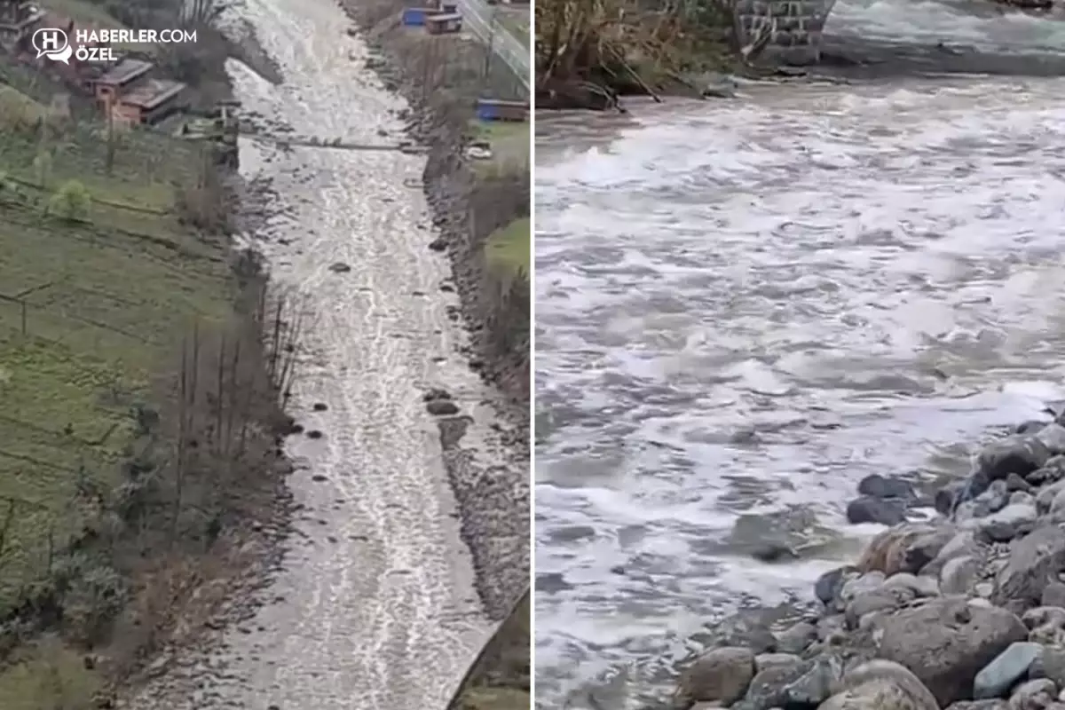 Fırtına Deresi\'nde endişelendiren görüntü! Gerçek ortaya çıktı