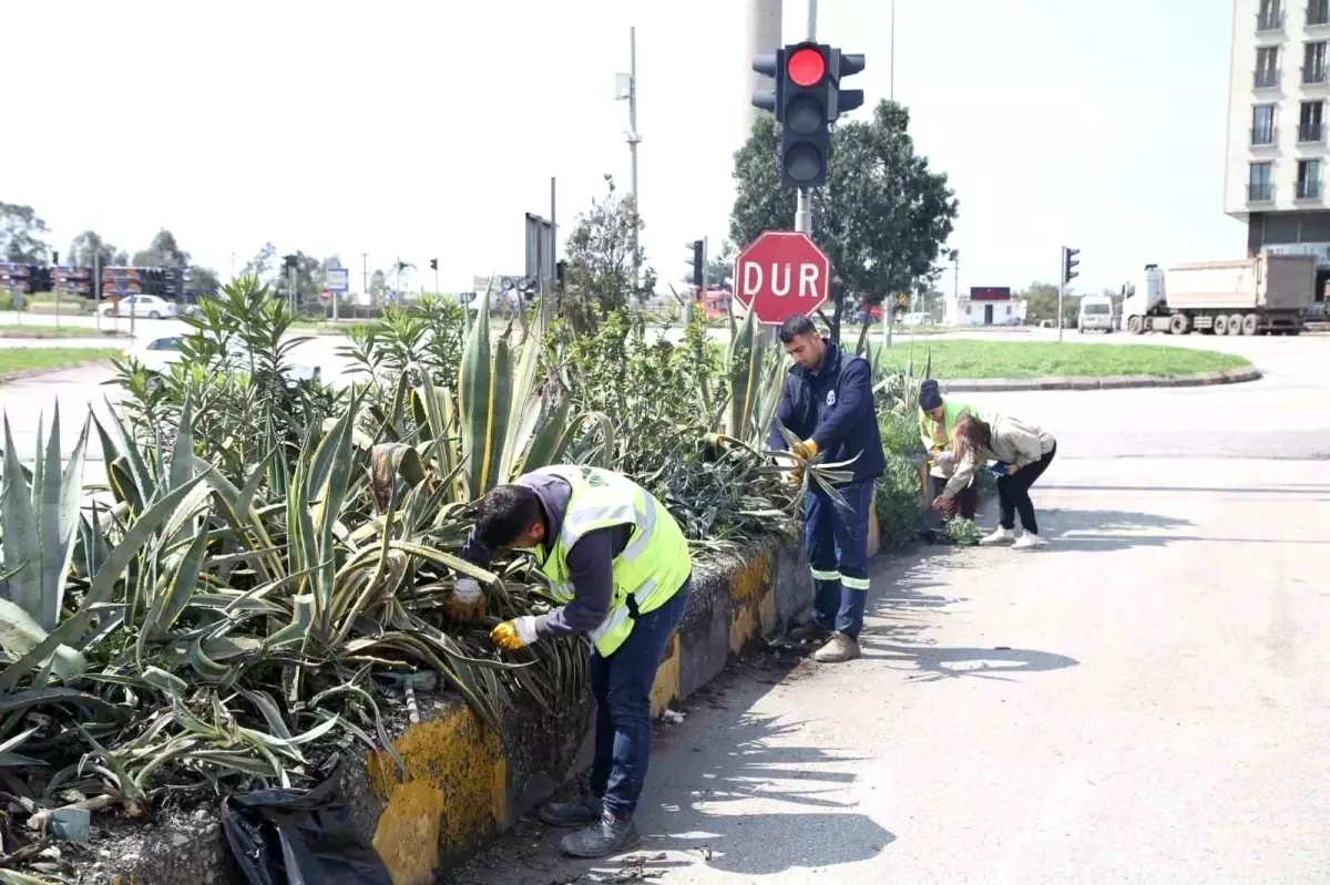 Hatay Büyükşehir Belediyesi bitkide dışa bağımlılığı en aza indirmeyi hedefliyor