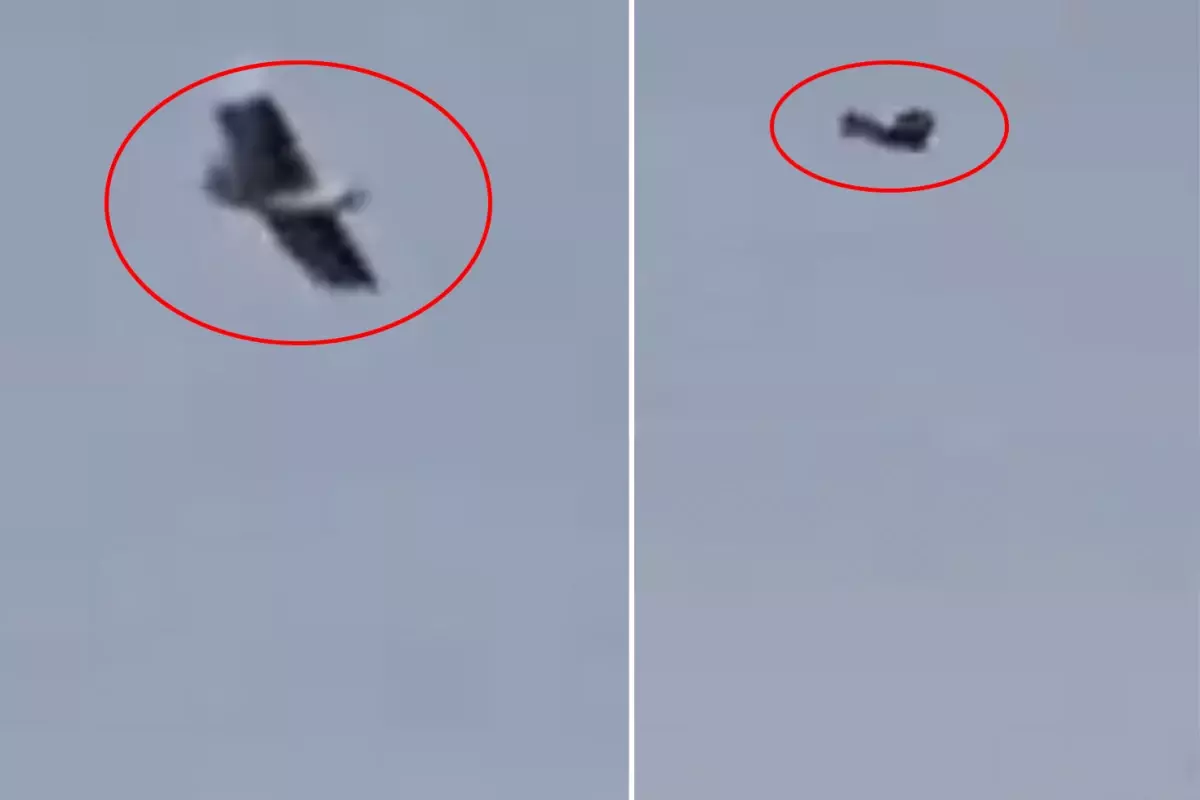 İran üzerinde kuş görünümlü insansız hava aracı görüntülendi