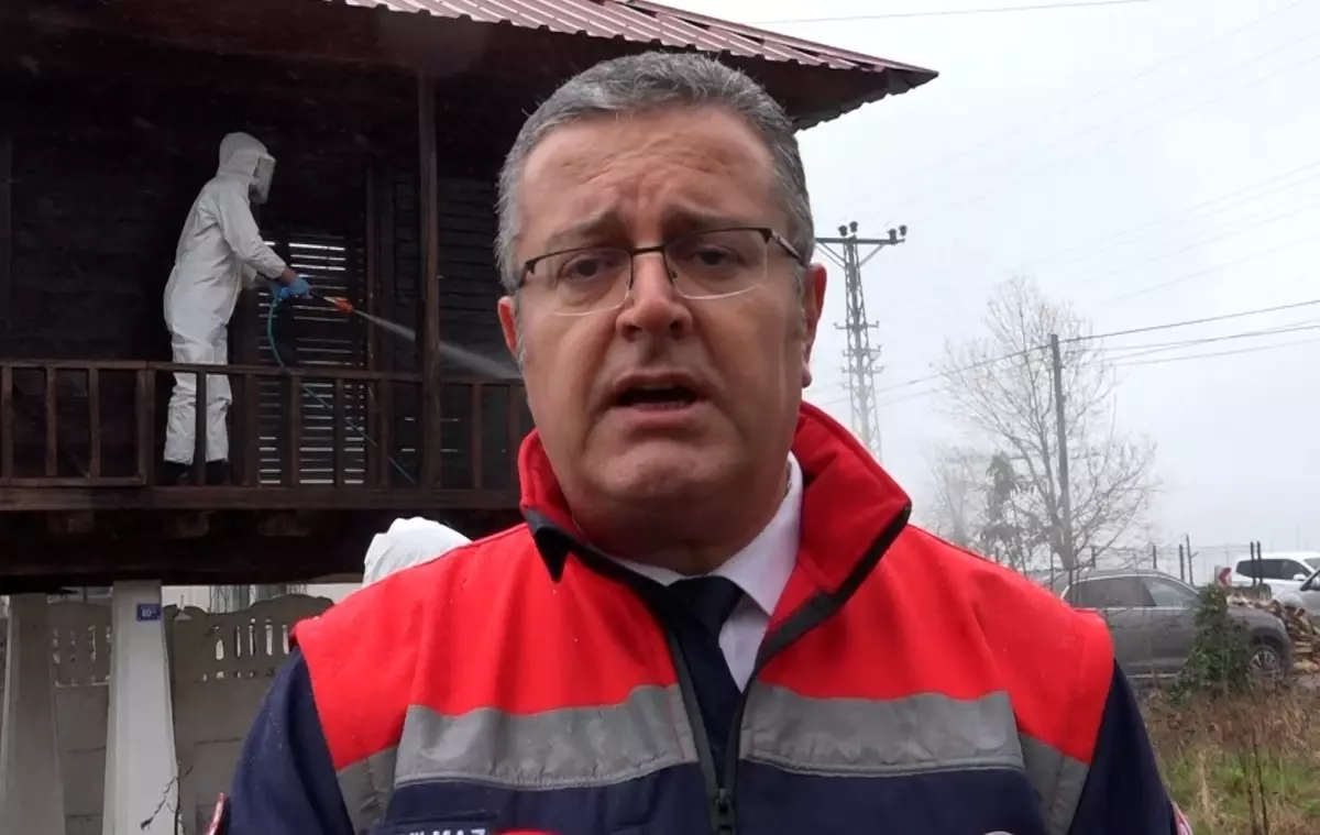 Samsun\'da Kahverengi Kokarca ile Mücadele