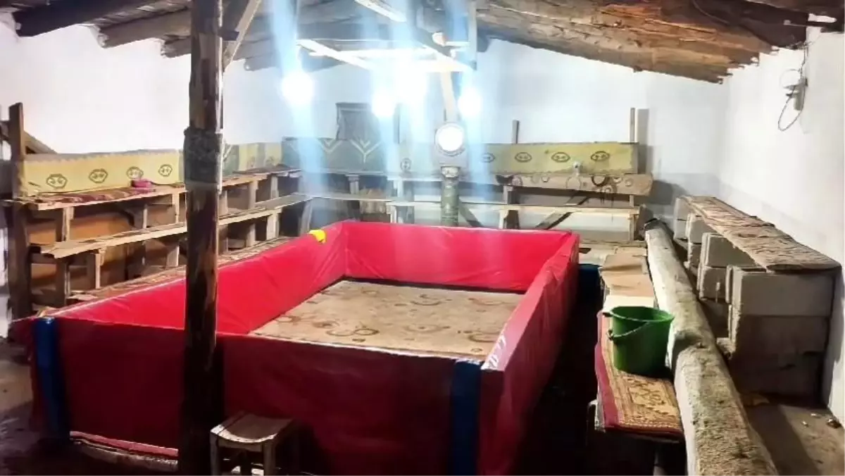 Muş\'ta Horoz Dövüşüne Cezalar
