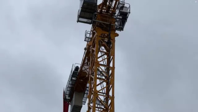 Vincin tepesine bakan hemen polisi aradı