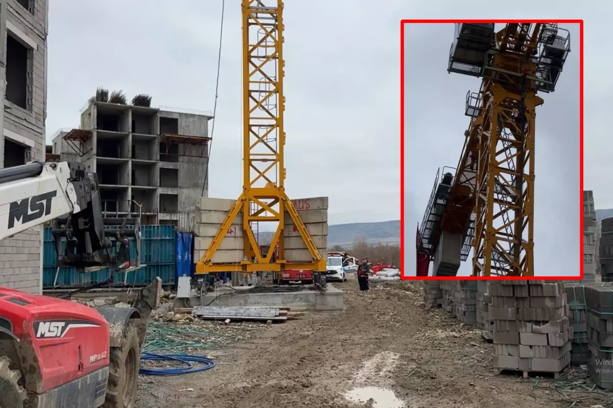 Vincin tepesine bakan hemen polisi aradı