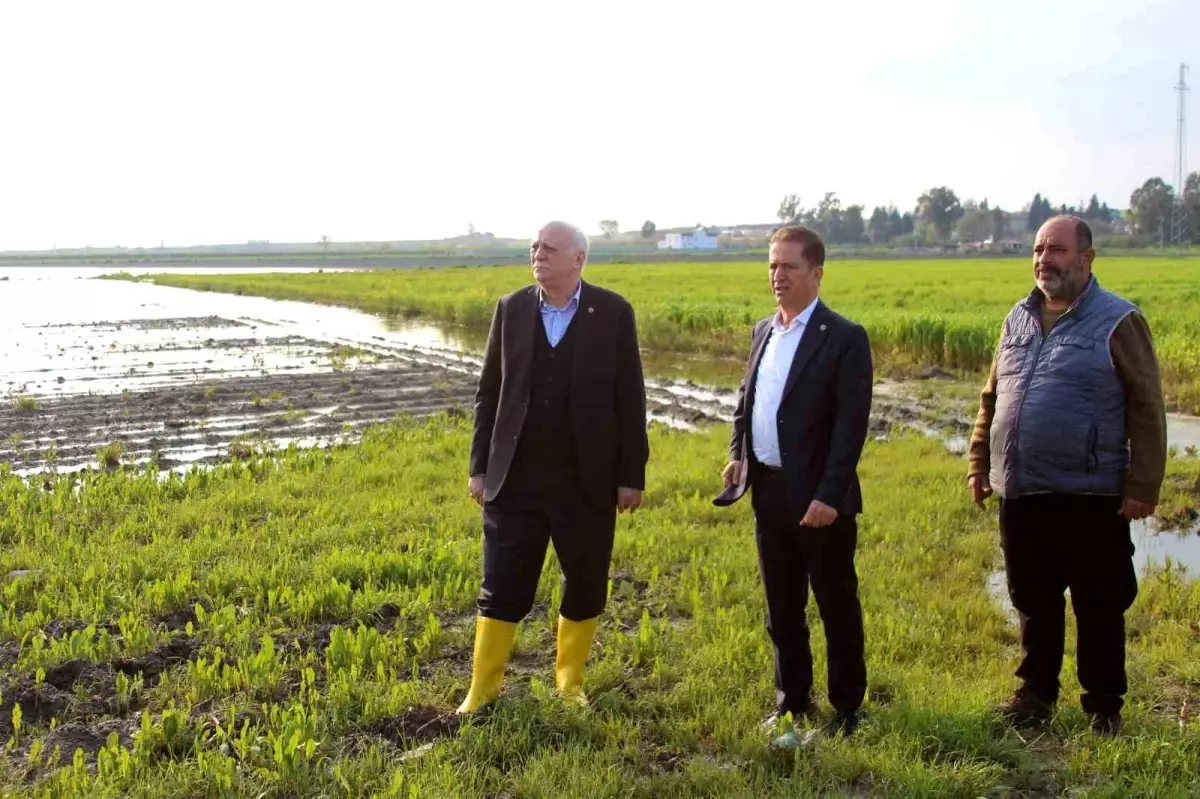 Adana\'da Tarım Alanları Sel Altında