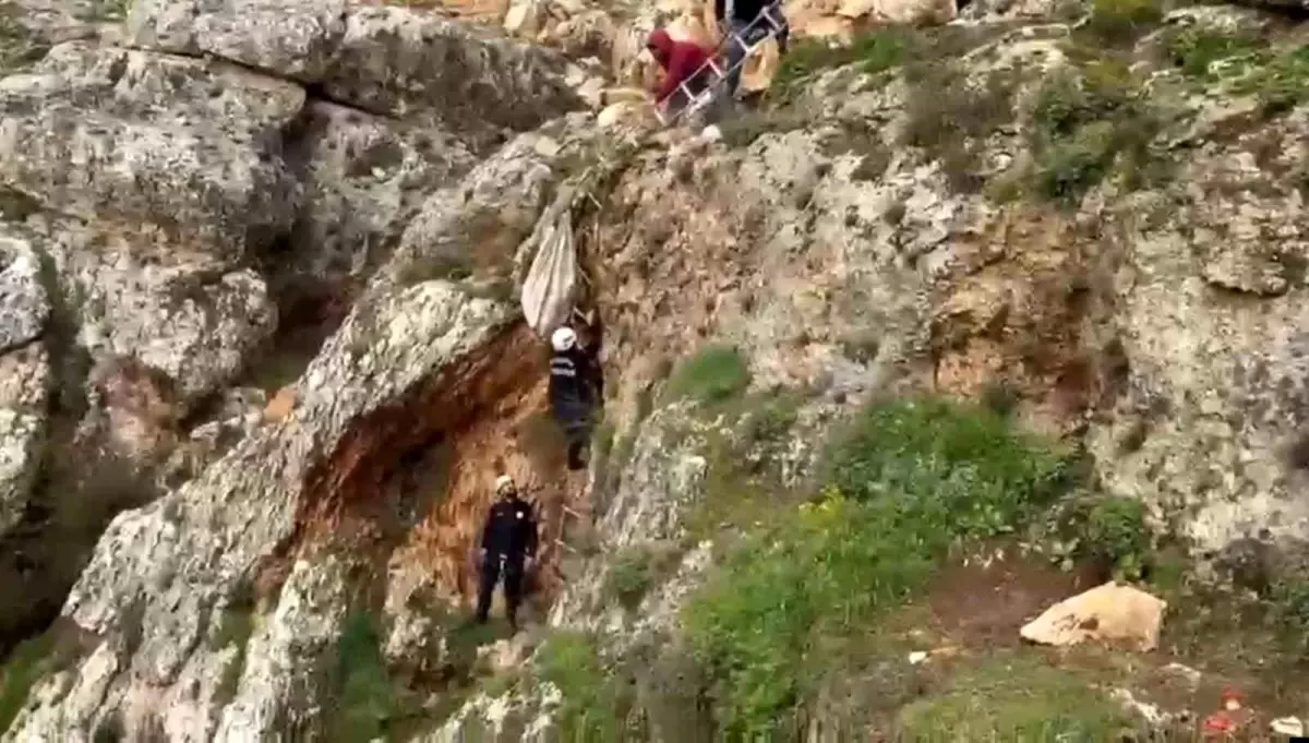 Uçurumdan Düşen Köpek 4 Saatte Kurtarıldı