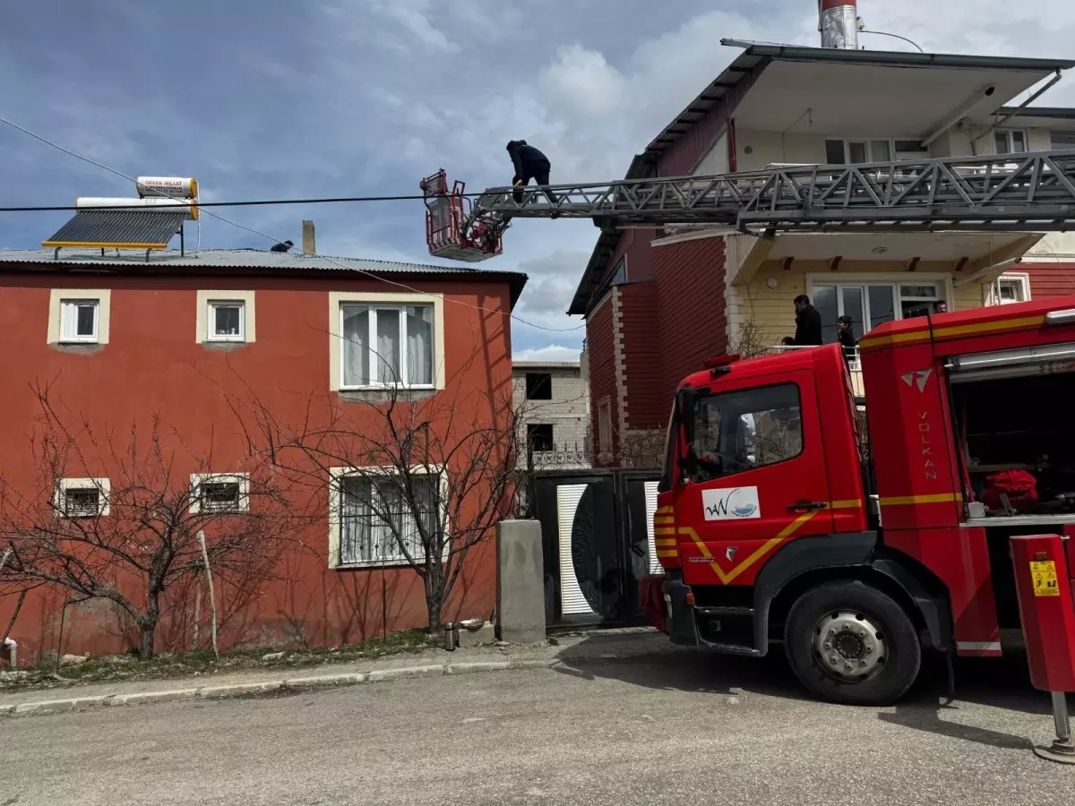 Yavru Kedi İtfaiye Ekipleri Tarafından Kurtarıldı