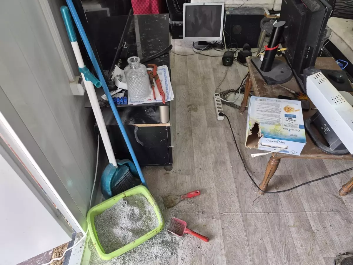 Sincan\'da 102 Hayvana El Konuldu