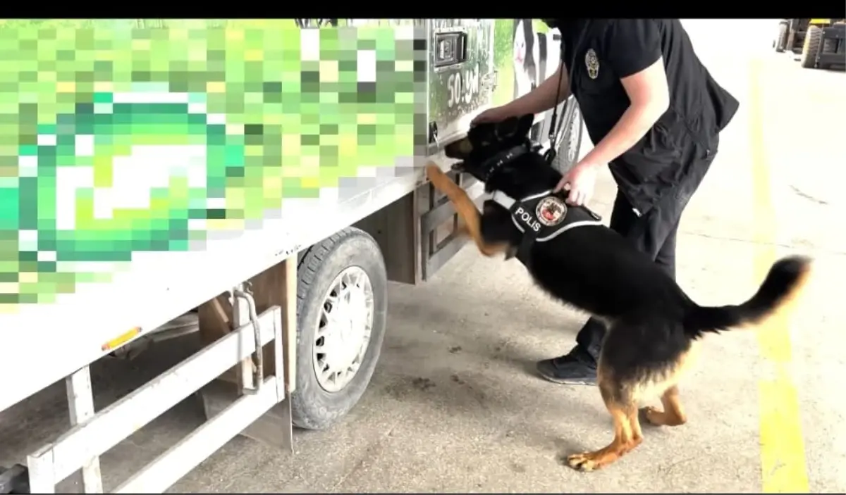 Van\'da Uyuşturucu Operasyonu: 90 Kilo Ele Geçirildi