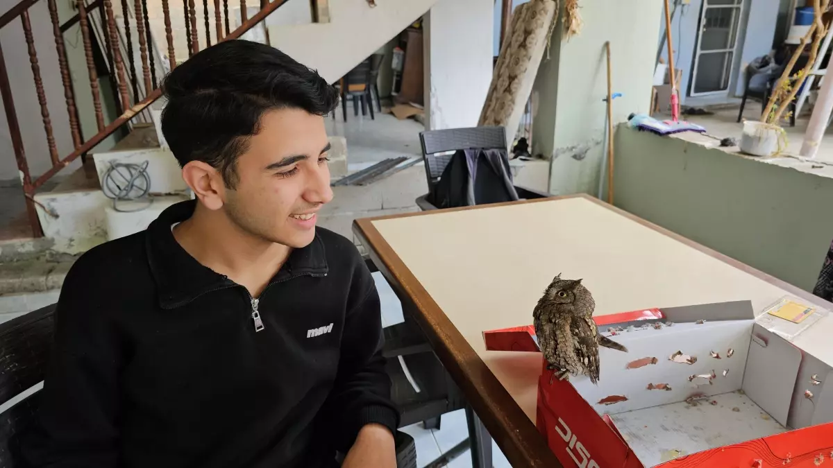 Ali Berk Kuşu Kurtardı