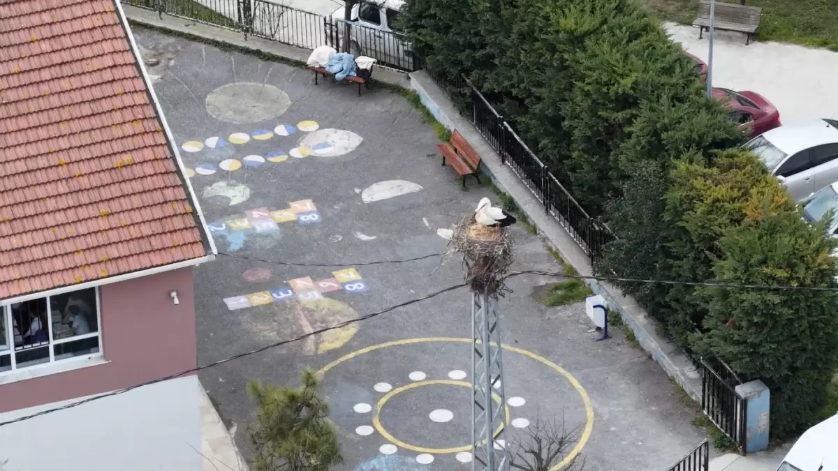 Leylekler İstanbul\'a Geldi