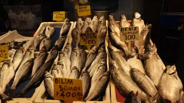 Hamsi Sezonu Sona Eriyor, İstavrit Öne Çıkıyor