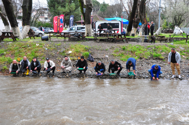 Dere yatağında ortaya çıkıyor, tasını kapan avuç avuç topluyor