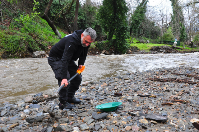 Dere yatağında ortaya çıkıyor, tasını kapan avuç avuç topluyor