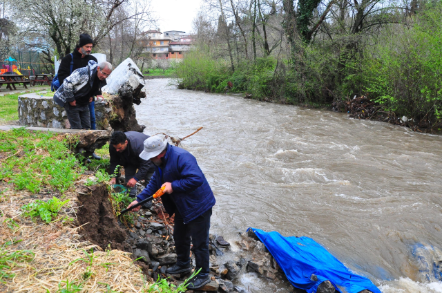 Dere yatağında ortaya çıkıyor, tasını kapan avuç avuç topluyor
