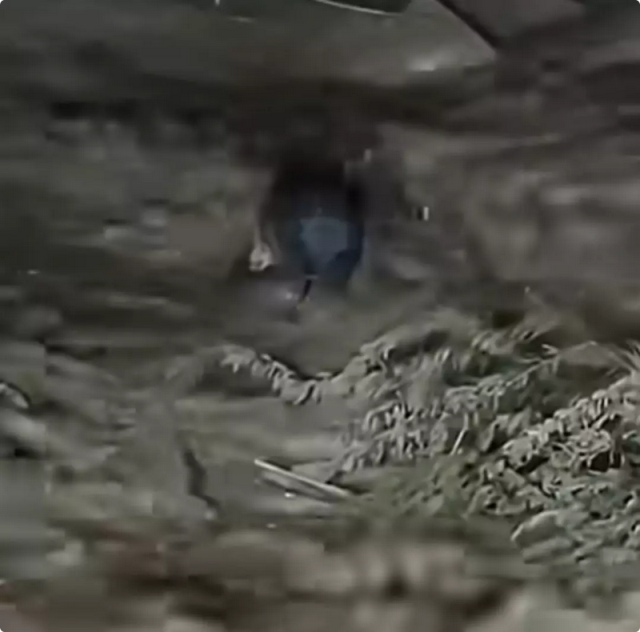 4 saat boyunca ota tutundu! Mucize kurtuluş