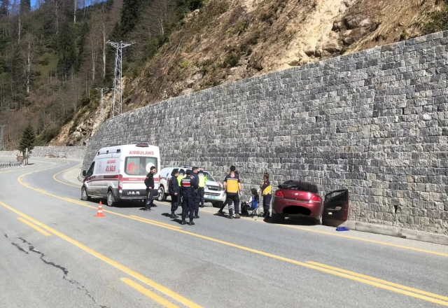 Ayder yayla yolunda arı paniği kazaya neden oldu: Direksiyon hâkimiyeti kaybedildi Ayder yayla yolunda arı paniği kazaya neden oldu: Direksiyon hâkimiyeti kaybedildi