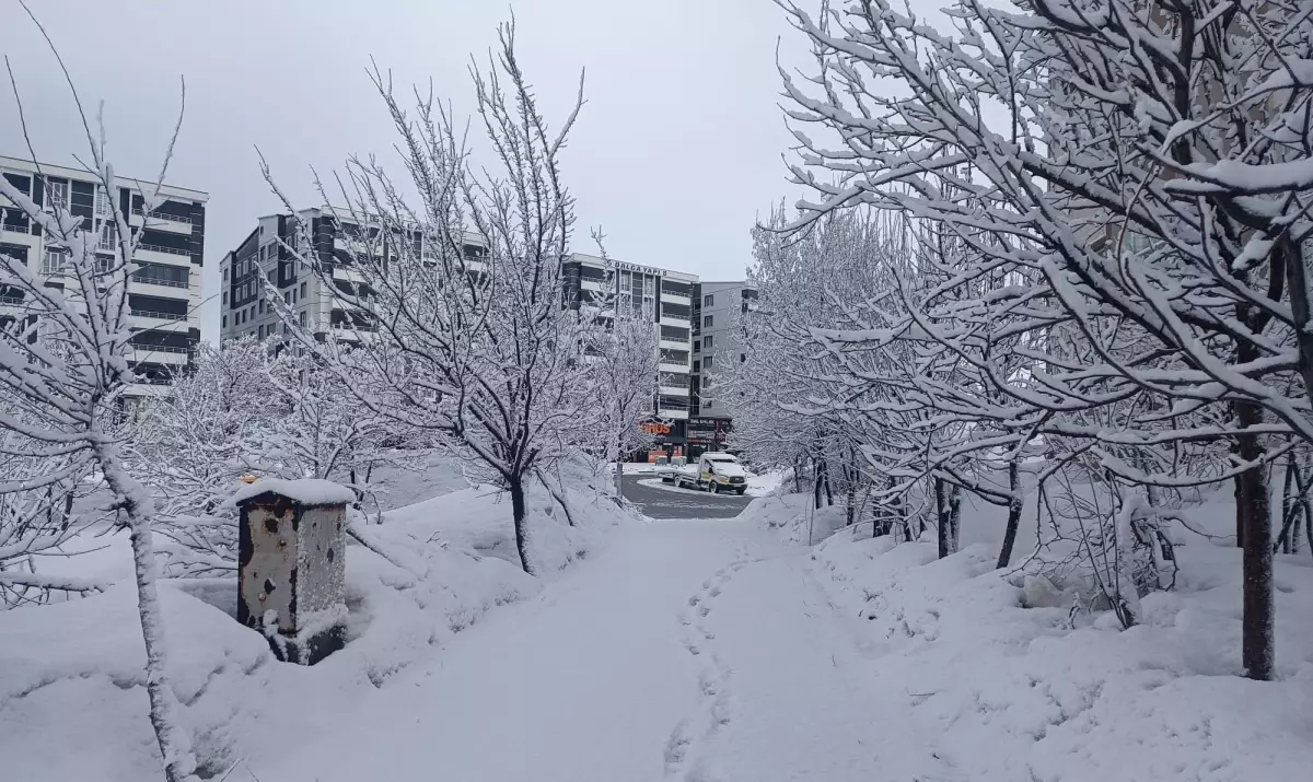 Bitlis\'te Kar Yağışı 5 Köy Yolunu Kapattı