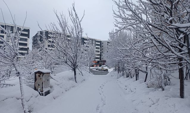 Bitlis'te Kar Yağışı 5 Köy Yolunu Kapattı