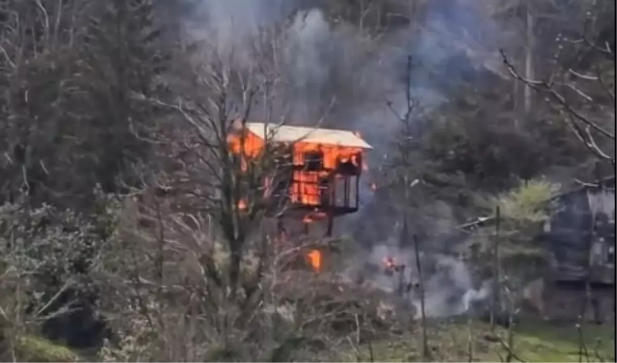 Çamlıhemşin\'de serender yangını konuşuluyor: Şenyuva\'da ahşap yapı kül oldu