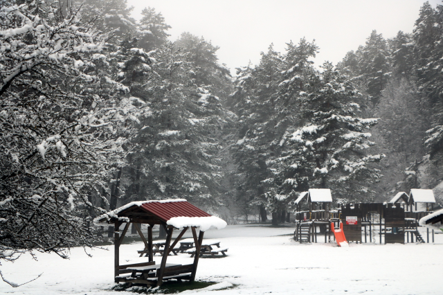 Abant, beyaz örtüyle kaplandı