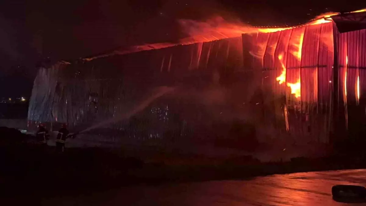 Osmaniye\'de karton fabrikasında yangın