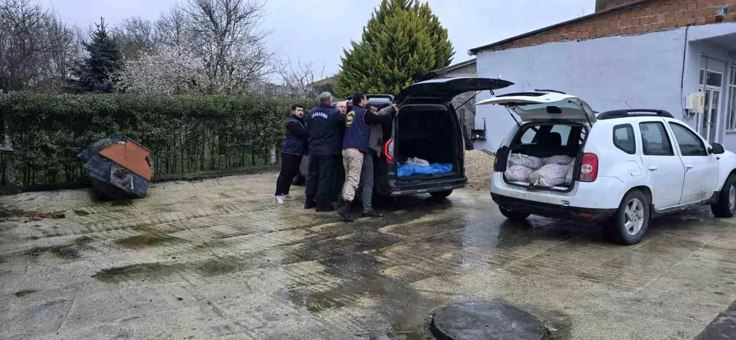 Silivri\'de At Eti Operasyonu