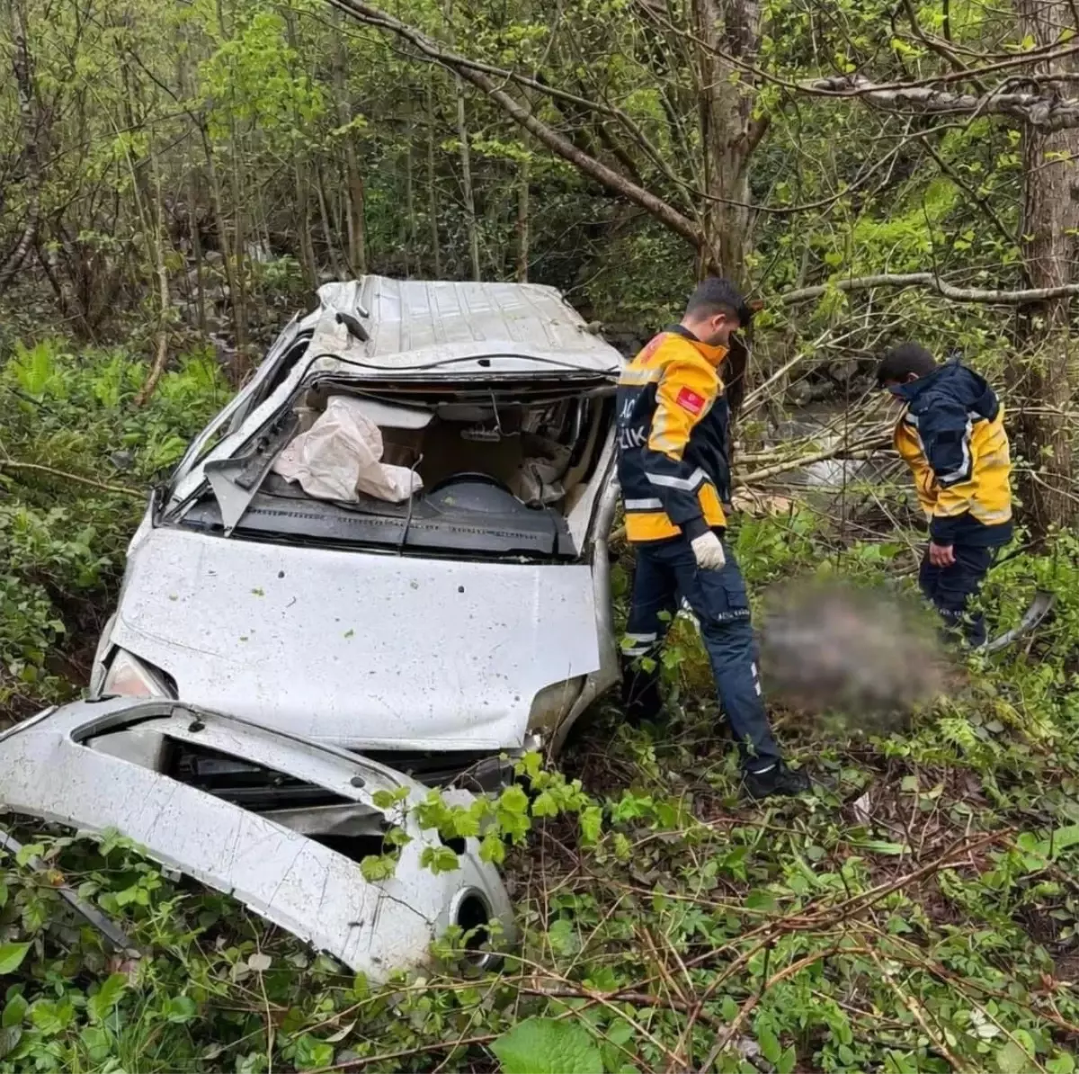 Borçka\'da Uçurum Kazası