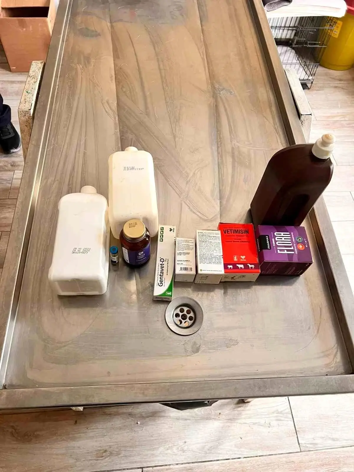 Açlıktan birbirini yiyen köpeklerin bakıldığı barınakta birçok ilacın tarihinin geçtiği belirlendi