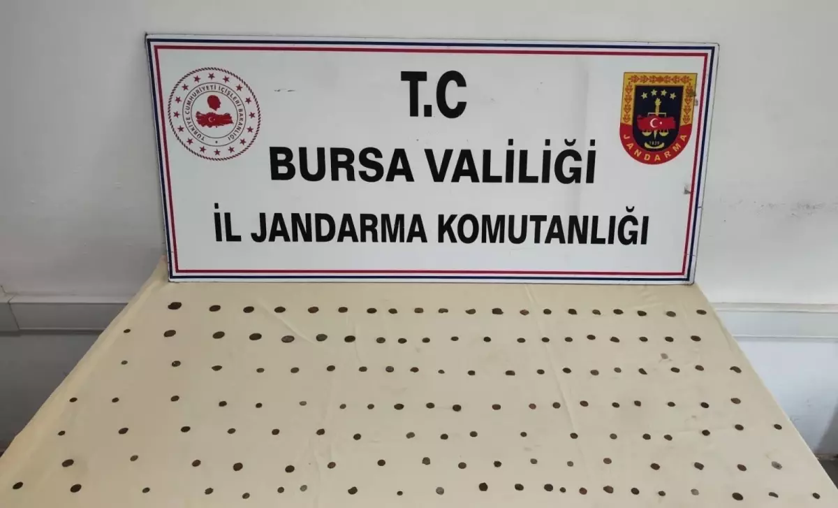 Mudanya\'da Tarihi Sikkeler Ele Geçirildi